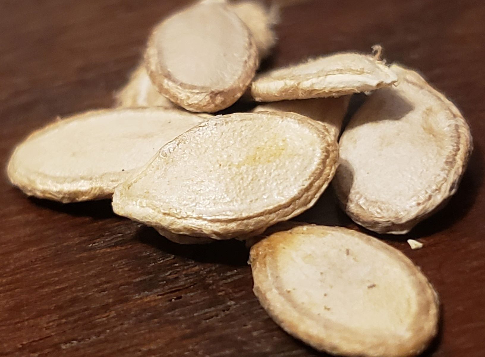 Heirloom Seeds Seminole Pumpkin Society